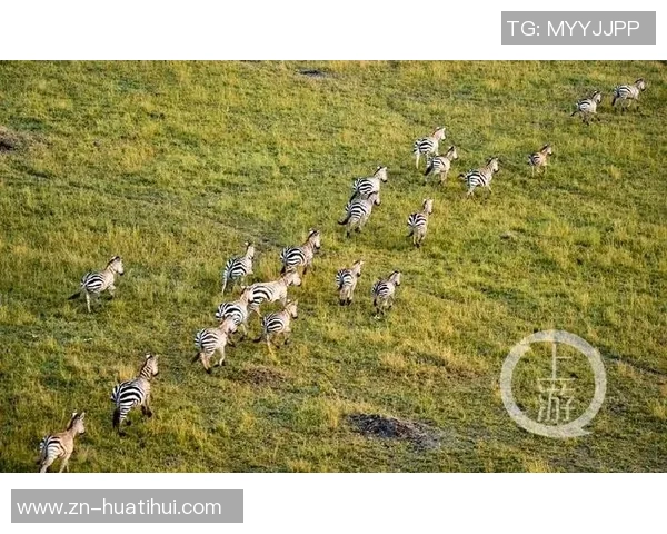 肯尼亚与坦桑尼亚的足球对决：历史战绩与未来展望