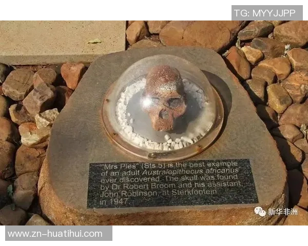 全球足球明星摇篮国家排名揭晓谁是最强足球人才的源泉